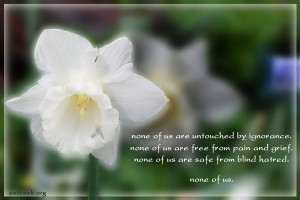 Buddhist quotes and sayings, none of us are untouched by ignorance
