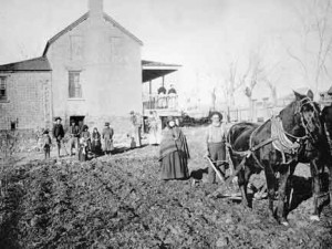 William Carter plowing at his home, St. George, Utah, 1893