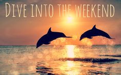 Dive into the weekend! #dolphins #weekend #quotes More