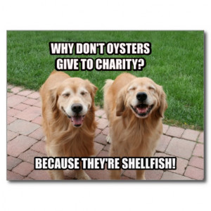 Laughing Golden Retriever Funny Shellfish Joke Postcard