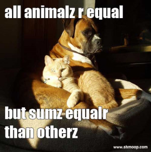 All animals r equal. But sumz equalr than others.