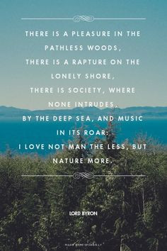 ... deep sea, and music in its roar: I love not man the less, but Nature