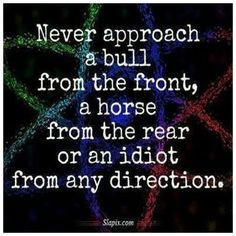 Never approach a bull from the front, a horse from the rear or an ...