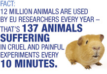 Animal tests double under REACH - more promotion and use of ...
