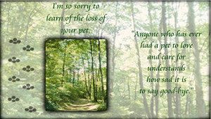 Sympathy Dog Loss Quotes Loss of your pet sympathy
