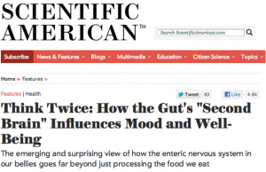 http://www.scientificamerican.com/article.cfm?id=gut-second-brain