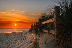 Sunset orange beautiful fence beach ocean HD Wallpaper