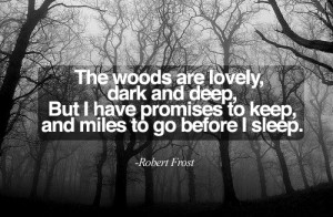 And miles to go before I sleep