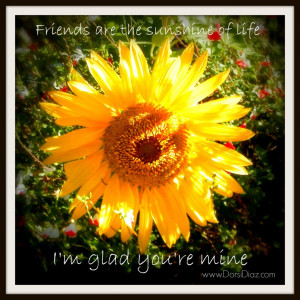 bright-sunflower-fb-dd-quote-1024x1024.jpg