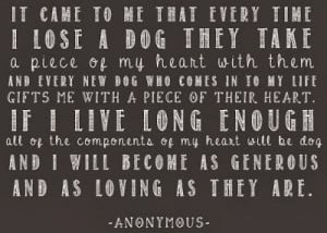 ... dog can teach humans to be as generous and loving and a dog what a