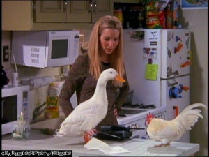 500px-Phoebe-Buffay-Friends-tv-characters-5385946-768-576.jpg