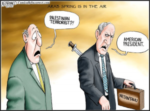 Image 15 of 250) Copyright © A.F Branco