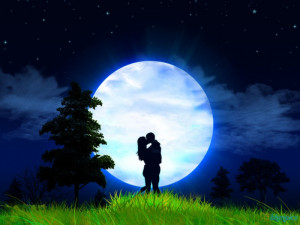 Moonlight Love 800×600 Wallpaper