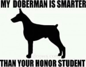 Doberman Quotes Sayings