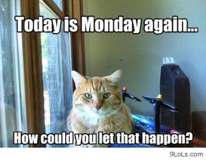Today is Monday again large Funny Pictures, Funny Quotes, Funny Videos ...