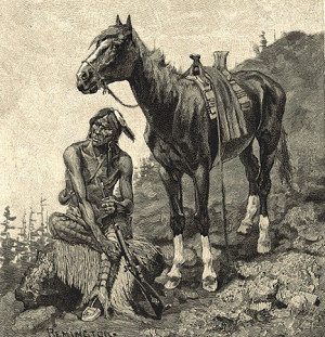 Pony of the Northern Rockies