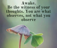 Awake! Buddha quote