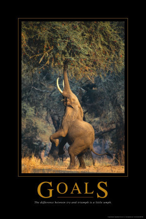 Setting goals makes them more real