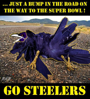 Hate the Ravens