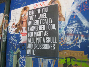 Allen Street Against Genetically Modified Foods | Bowery Boogie
