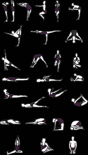 moksha yoga is a form of hot yoga that is