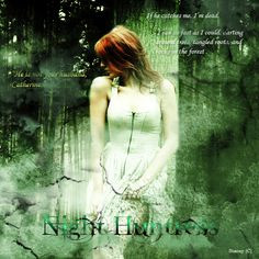 night huntress more night huntresscat