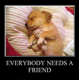 everybody needs a friend