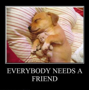 everybody needs a friend