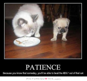 Patience Quotes Dog Quotes Cat Quotes Animal Quotes Funny Animal ...