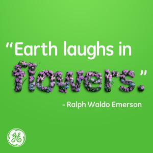 Ralph Waldo Emerson. #quote #flowers #nature [note: i DO NOT support ...