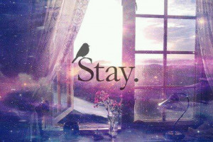want to stay