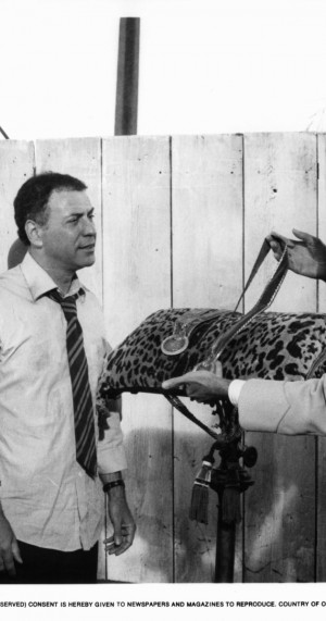 MV5BMTUzMjAyMzQ0MF5BMl5BanBnXkFtZTgwMjc1NzIwMjE@._V1_SY1200_CR426,0 ...