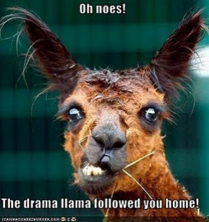 oh snap, Drama Llama is back in full force drama mode