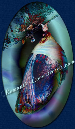 Butterfly Quotes For Kids