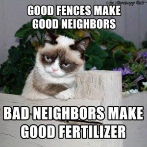 Grumpy Cat is a bad neighbor