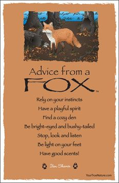 Advice from a Fox More