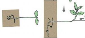 Warning Parameter Ace Join Expected Reference Value