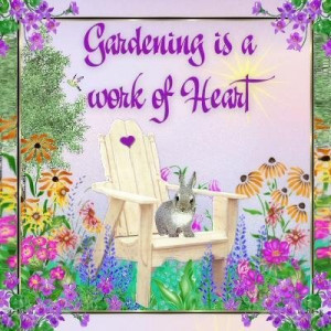 Garden Signs Sayings B