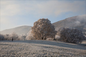 The Malvern Hills, photographed from the Common, by Alec Beattie.