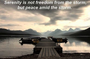 serenity is not freedom from the storm but peace amid the storm