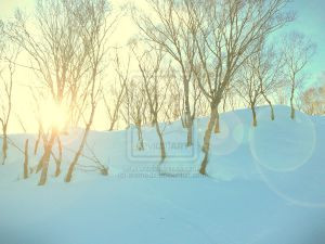 snowy sunny day by aremedz