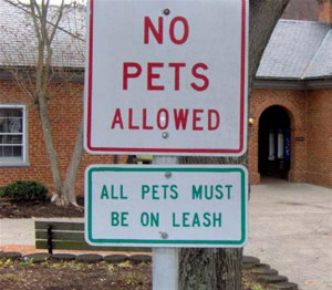 Funny Signs 3 (Medium)