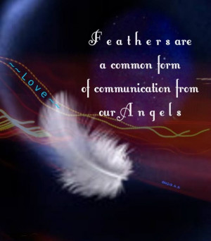 Angel Feathers...