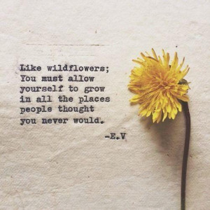 Like wildflowers ; you must allow yourself to grow in all the places ...