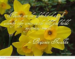 Flowers quotes , famous quotes, beauty quotes , quotes on flowers ...