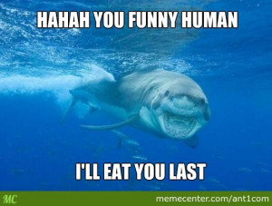 Related Pictures funny shark sayings 13