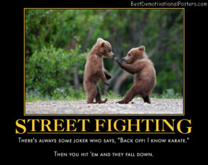 street-fighting-bears-fight-humor-best-demotivational-posters