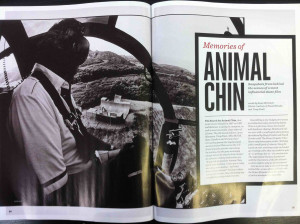animal chin article