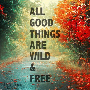 The best things in life are wild and free :)