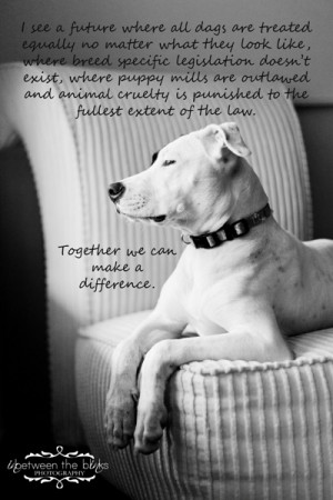 October is Pit Bull awareness month | In between the Blinks